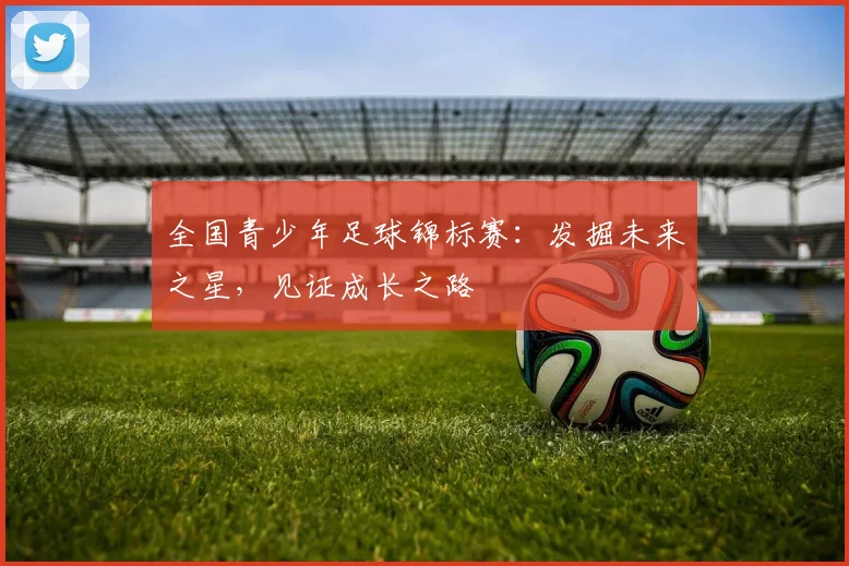 全国青少年足球锦标赛:发掘未来之星,见证成长之路
