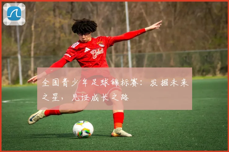 全国青少年足球锦标赛：发掘未来之星，见证成长之路