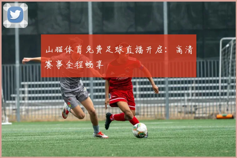 山猫体育免费足球直播开启：高清赛事全程畅享